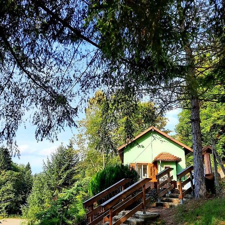 Vila Gite L'Envol Belval  Exteriér fotografie