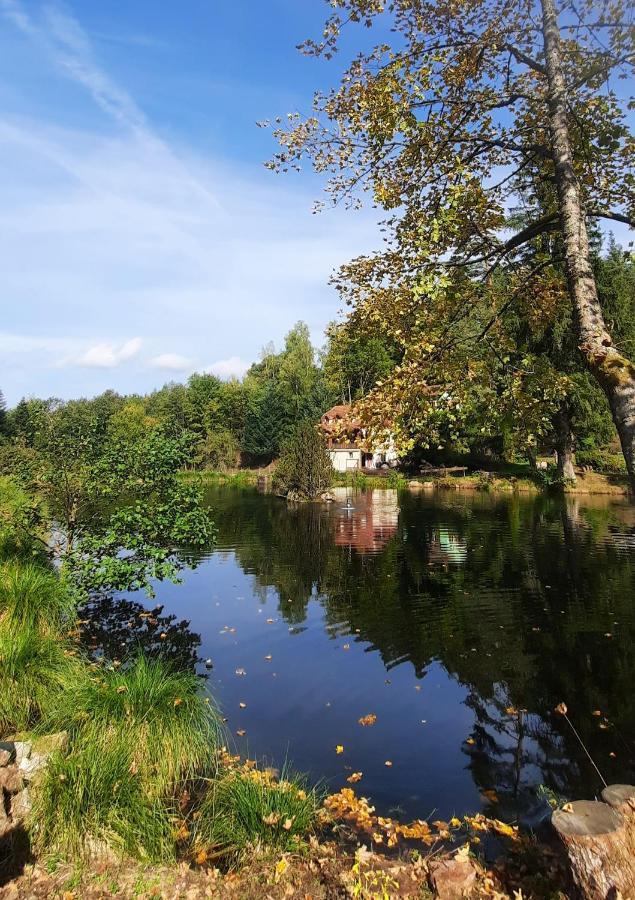Vila Gite L'Envol Belval  Exteriér fotografie